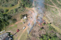 Ação de controle do pinus limpou em junho 11,2 hectares do Parque Estadual de Vila Velha