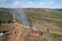 Ação de controle do pinus limpou em junho 11,2 hectares do Parque Estadual de Vila Velha