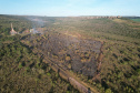 Ação de controle do pinus limpou em junho 11,2 hectares do Parque Estadual de Vila Velha