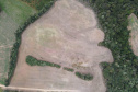 Técnicos do IAT aplicaram quase R$ 7 milhões em multa por desmatamento ilegal na região de Guarapuava.