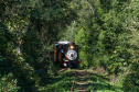 Turismo sobre trilhos: passeios de Natal na locomotiva mais antiga do Paraná já estão à venda