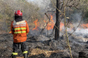 Curso de resposta a desastres prepara bombeiros do Paraná.