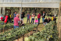 Treino visita para o cultivo de morango dá bons resultados na Região Metropolitana de Curitiba