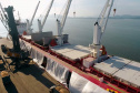 Nos primeiros dois meses de 2019, os Portos do Paraná movimentaram mais de 7,2 milhões de toneladas de carga. Destaque para o aumento de 180% da movimentação por Antonina. Foto: Divulgação/APPA