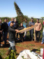 Fazenda Palmeira, em Santa Mariana. Foto: Divulgação/Rota do Café