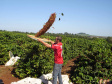 Fazenda Palmeira, em Santa Mariana. Foto: Divulgação/Rota do Café