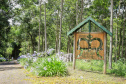 Fazenda Monte Bello, em Ribeirão Claro. Foto: Divulgação/Rota do Café