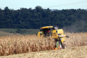 Relatório mensal do Departamento de Economia Rural (Deral) da Secretaria de Estado da Agricultura e do Abastecimento mostra que a estimativa de produção da safra de grãos 2018/2019 deve ser de 37,3 milhões de toneladas, 5% maior do que no ano passado e também superior à estimativa anterior, de 37,1 milhões. Na safra anterior, a produção foi de 35,4 milhões.  -  Foto: Jonas Oliveira/Arquivo ANPr