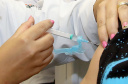 Neste sábado, dia 4, as unidades de saúde vão funcionar em todo o Paraná para a mobilização do ?Dia D? da Campanha Nacional de Vacinação contra a gripe. O objetivo é garantir a imunização dos grupos prioritários que devem receber a vacina.Foto: Jaelson Lucas/ANPr