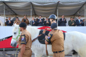 O governador Carlos Massa Ratinho Junior e o presidente em exercício Hamilton Mourão receberam nesta sexta-feira (28) a medalha Heróis da Cavalaria, da Polícia Montada Coronel Dulcídio. A condecoração foi entregue na cerimônia, em Curitiba, que comemora os 140 anos do regimento, que é a unidade mais antiga da Polícia Militar do Paraná.  -  Curitiba, 28/06/2019  -  Foto: José Fernando Ogura/ANPr