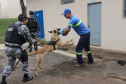 Profissionais da Sanepar recebem treinamento periodicamente. Foto: Divulgação/Sanepar