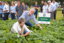 O Paraná é o maior produtor nacional de feijão-preto e um dos principais no cultivo de outras variedades do grão, que tem presença obrigatória no prato dos brasileiros