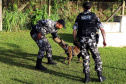 A soldado Angélica Aparecida Chuede é a primeira mulher a fazer parte da Companhia de Operações com Cães (COC) do Batalhão de Operações Especiais (BOPE), em 47 anos de criação da subunidade. A inclusão da militar estadual aconteceu com a formatura dela no Curso de Cinotecnia na última semana, que fez todas as etapas com seu cão Hunter.  -  Curitiba, 04/07/2019  =-  Foto: Soldado Amanda Morais