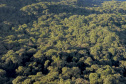 Paraná se destaca no uso de sistema para gestão de florestas.Foto: José Fernando Ogura/ANPr