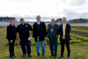 Presos da Penitenciária Central do Estado - Unidade de Progressão (PCE-UP), localizada em Piraquara, na Região Metropolitana de Curitiba, trabalham no plantio de hortaliças e verduras orgânicas produzidas no terreno da unidade penal. Nesta quinta-feira (18), o secretário de Estado da Agricultura e Abastecimento, Norberto Anacleto Ortigara, conheceu a iniciativa, que pode ser ampliada para outras regiões do Estado. Foto: Divulgação/SEAB