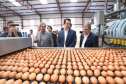 O governador Carlos Massa Ratinho Junior participou nesta terça-feira (23), em Cascavel, do evento de certificação SISBI (Sistema Brasileiro de Inspeção de Produtos de Origem Animal) para a Granja Refem, que desenvolve um projeto pioneiro no Estado de produção de ovos a partir da criação de galinhas sem gaiola. Foto: Arnaldo Alves / ANPr.