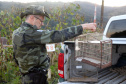 Uma operação da Polícia Militar iniciada nesta terça-feira (24) com o objetivo de combater o tráfico e o comércio de aves silvestres cumpriu mandados de prisão em Curitiba, Almirante Tamandaré, Campo Largo, Fazenda Rio Grande, Piraquara, Colombo e Cerro Azul. Foto: Soldado Ismael Ponchio