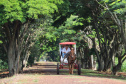 Hotel Fazenda Itacorá. Itaipulândia. Foto: José Fernando Ogura/ANPr