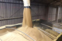 O Porto de Paranaguá embarca nesta semana a primeira carga de DDGS, um coproduto do processamento do milho para a fabricação de etanol – o que sobra do grão. A operação será um teste para que o produto passe a entrar na rotina das exportações paranaenses a granel. Neste primeiro lote, 27,5 mil toneladas serão levadas à Inglaterra pelo navio Interlink Acuity.Foto: Divulgação/INPASA