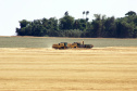 
Acesse a galeria de fotos
Safra de grãos do Paraná deve atingir 23 milhões de toneladas
. Foto: Jonas Oliveira/Arquivo-AEN
