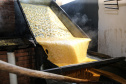 Produção de açucar mascavo e de melado de açúcar mascavo de cana-de-açúcar produzido pela familia do produtor Gilberto Hass  em Capanema, no sudoeste do Paraná.  Capanema - 16/01/2020 - Foto: Geraldo Bubniak/AEN