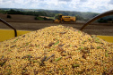 VBP agropecuário do Paraná de 2019 pode atingir R$ 93 bilhões. Foto: Jonas Oliveira/Arquivo/AEN
