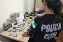 Polícia Civil registra aumento de 14% na apreensão de drogas