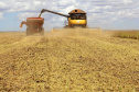 Paraná deverá produzir 41,2 milhões de toneladas de grãos. Fotos:Jaelson Lucas / AEN