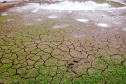 Levantamento do Simepar apontou que nove cidades, de quase todas as regiões do Estado, tiveram chuvas bem abaixo da média histórica entre os meses de junho de 2019 a março de 2020. Redução média na precipitação foi de 33% nos municípios pesquisados.08/04/2020 - Foto: Geraldo Bubniak/AEN