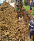 Paranacidade mantém ritmo de trabalho e obras são garantidas. Foto: SEDU