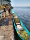 Agricultores familiares levam alimentos às ilhas do Paraná. Foto:SEAB
