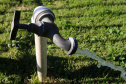 Consumo residencial de água cresce 11% no Paraná. Foto: Geraldo Bubniak/AEN