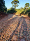Pavimentação de estrada rural fortalece agroindústria familiar em Prudentópolis.Foto: SEAB