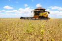  Paraná estima safra de grãos acima de 40 milhões de toneladas. Fotos:Jaelson Lucas / AEN