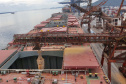 Navio carrega 103 mil toneladas de farelo no Porto de Paranaguá. Foto: Claudio Neves/Portos do Paraná