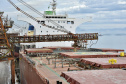 Navio carrega 103 mil toneladas de farelo no Porto de Paranaguá. Foto: Claudio Neves/Portos do Paraná