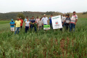 IDR-Paraná incentiva cultivo de pastagens de inverno. Foto;SEAB