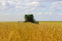 Paraná pode colher 40,9 milhões de toneladas de grãos. Foto: Jaelson Lucas/AEN