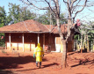 Sanepar faz desinfecção de aldeia com confirmação de Covid-19. Foto:Sanepar