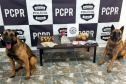 Cães da PCPR apreendem mais drogas em 2020 do que soma dos dois anos anteriores
Foto: PCPR