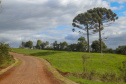 CHOPINZINHO - Estrada Rural.
