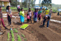 O projeto Renda Agricultor Familiar - ação do programa Nossa Gente criada em 2015, para ajudar as famílias que vivem no campo - já atendeu até o momento mais de 5