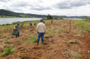 Paraná é premiado por projeto de recuperação de áreas degradadas. Foto:Copel