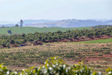 Governo renova artérias de escoamento da safra em Ivaiporã. Foto: Gilson Abreu/AEN