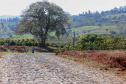 Governo renova artérias de escoamento da safra em Ivaiporã. Foto: Gilson Abreu/AEN