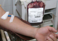 Para combater o Covid-19, Hemepar lança campanha de doação de plasma.
Foto:Venilton Küchler/Arquivo AEN