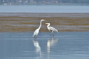 Portos do Paraná mantêm cuidado com o meio ambiente. Foto:lLeonardo de Conto