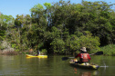 A Rota dos Pioneiros, a maior trilha aquática do Brasil e que deve ser tornar a maior do mundo, está retomando suas atividades. O grupo de voluntários responsável pela demarcação da rota ao longo do Rio Paraná e de seus afluentes voltou a fazer a sinalização do percurso, depois de uma interrupção de sete meses por causa da pandemia do novo coronavírus. Alguns passeios de caiaque pelo rio também voltaram a ser oferecidos por guias locais.  Foto: Erick Caldas Xavier