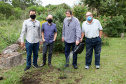 Governo do Estado faz plantio de mudas de araucária. Foto: Ari Dias/AEN