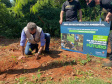 Paraná Mais Verde planta 1.500 árvores em Cianorte.Foto: IAT